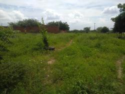 Área para Venda em Juazeiro do Norte - 4
