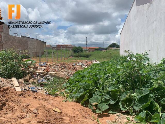 #101 - Área para Venda em Juazeiro do Norte - CE - 3