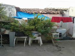 Casa para Venda em Juazeiro do Norte - 5