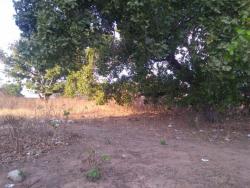 Área para Venda em Crato - 4